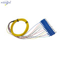 12 cores optic fiber pigtails Bunched type